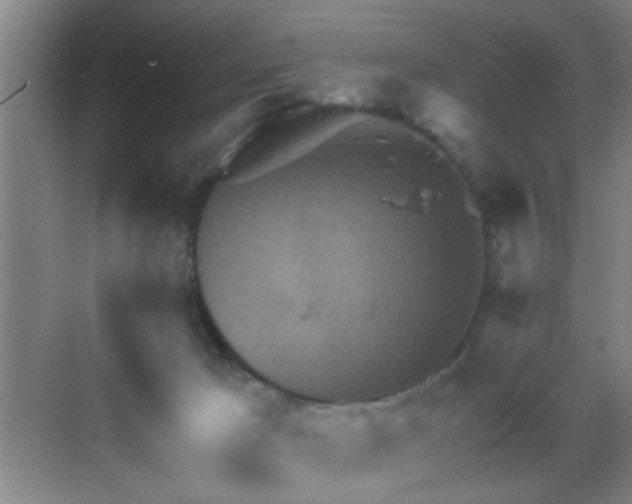 X0000069790029200605191050