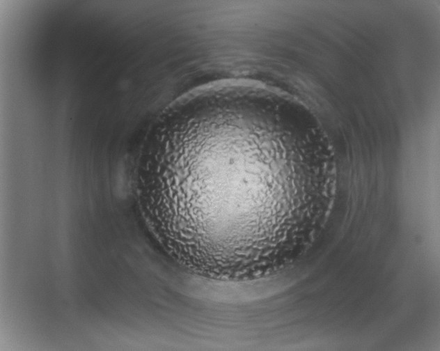 X0000069790030200605191050