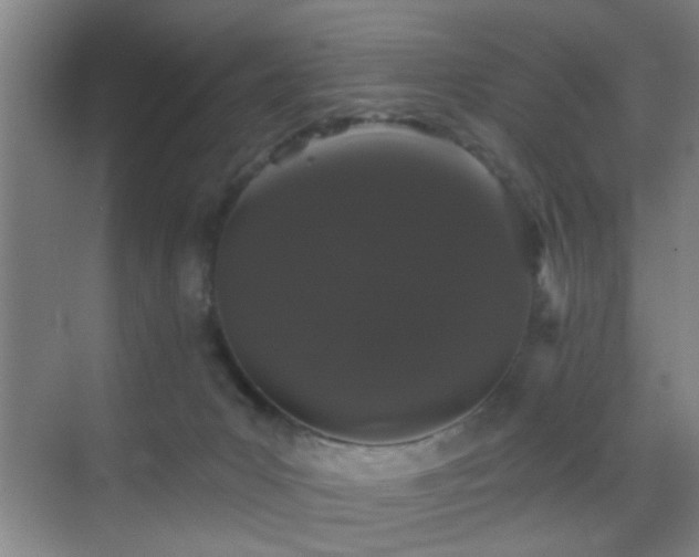 X0000069790031200605191050