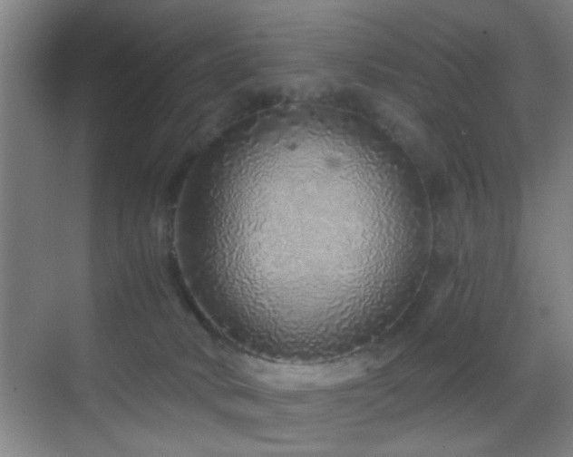 X0000069790034200605191050