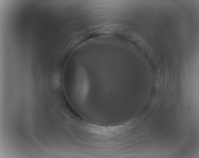 X0000069790035200605191050