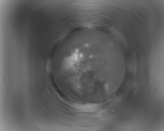 X0000069790036200605191050