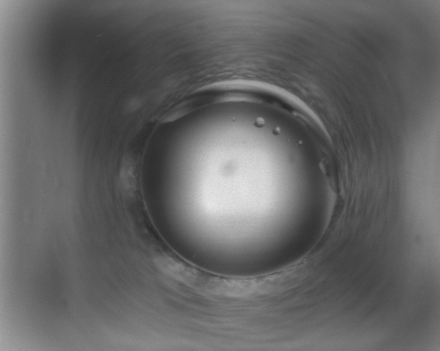 X0000069790037200605191050