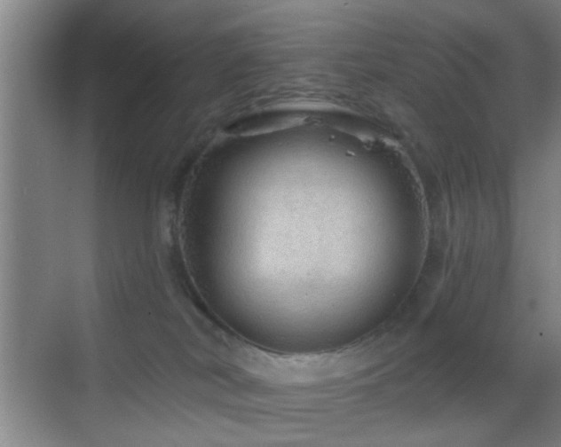 X0000069790038200605191050