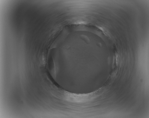 X0000069790039200605191050