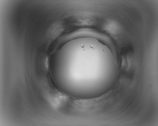 X0000069790041200605191050