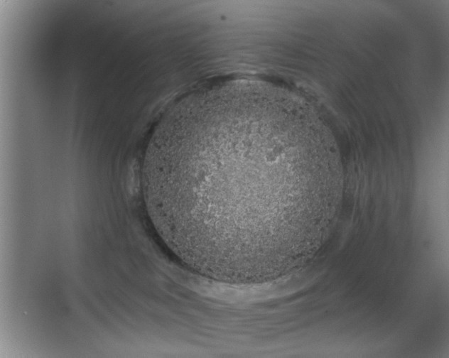 X0000069790043200605191050