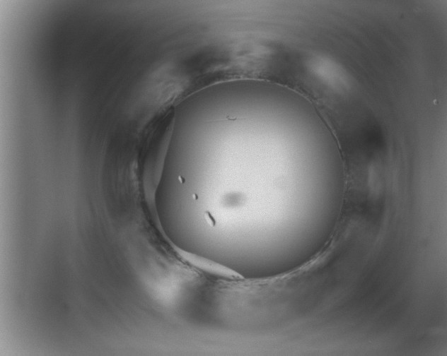 X0000069790045200605191050