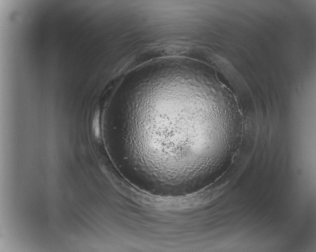 X0000069790046200605191050