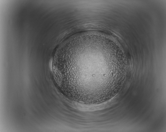 X0000069790047200605191050