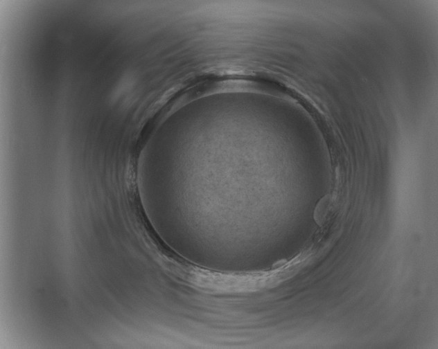 X0000069790048200605191050