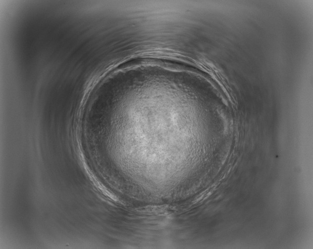 X0000069790049200605191049