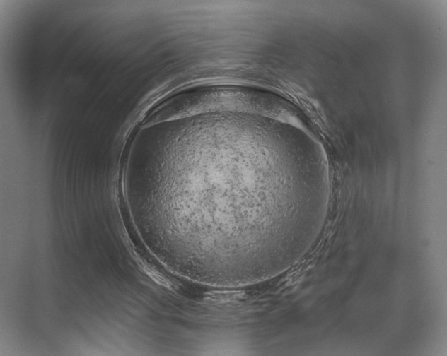 X0000069790051200605191049