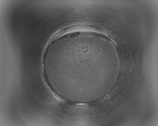 X0000069790053200605191049