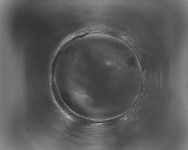 X0000069790054200605191049