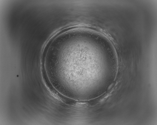 X0000069790055200605191049