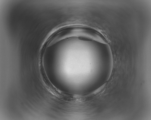 X0000069790056200605191049