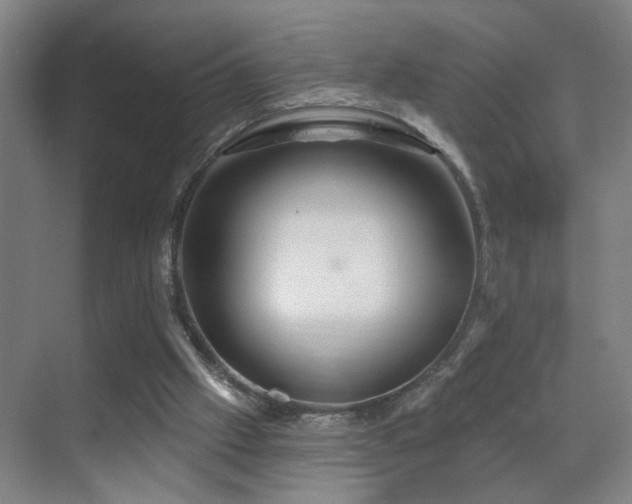 X0000069790057200605191049