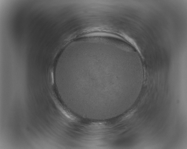 X0000069790061200605191049