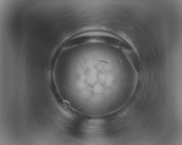 X0000069790063200605191049