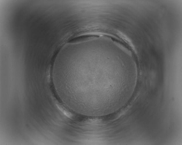 X0000069790065200605191049