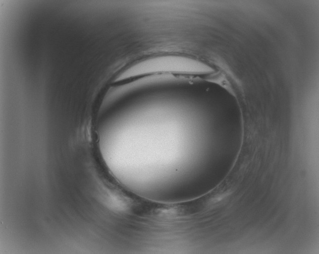 X0000069790068200605191049