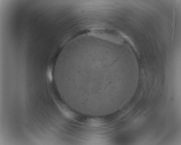 X0000069790069200605191049