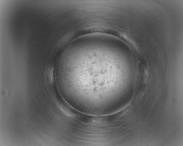 X0000069790070200605191049