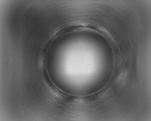 X0000069790071200605191049