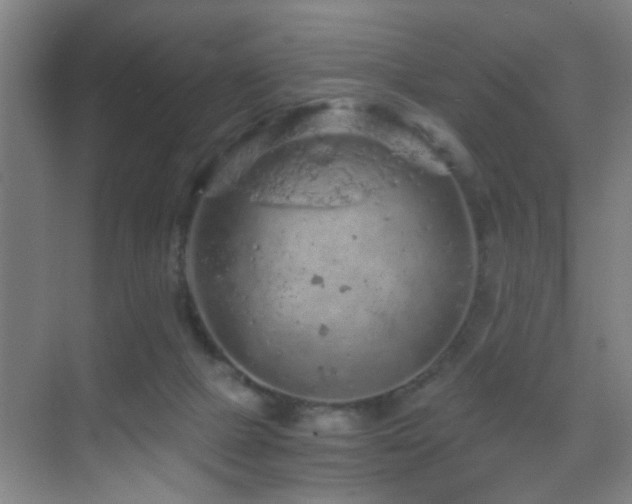 X0000069790073200605191049