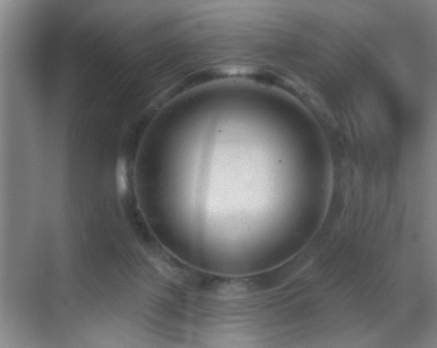 X0000069790075200605191049