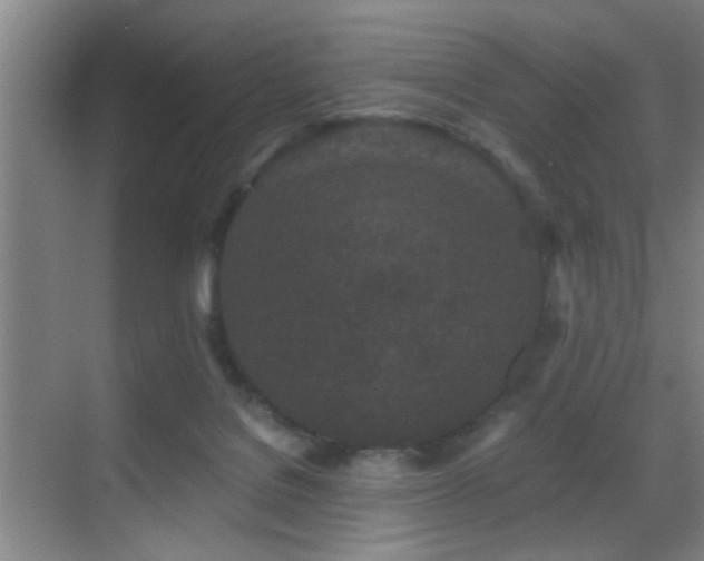 X0000069790076200605191049