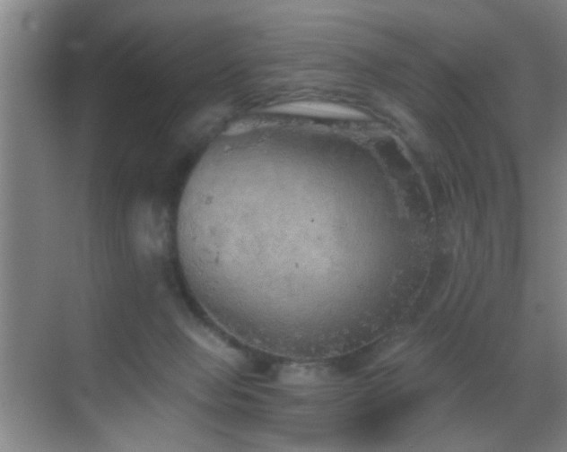 X0000069790077200605191049