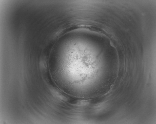 X0000069790078200605191049