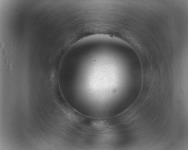 X0000069790079200605191049