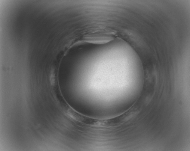 X0000069790080200605191049