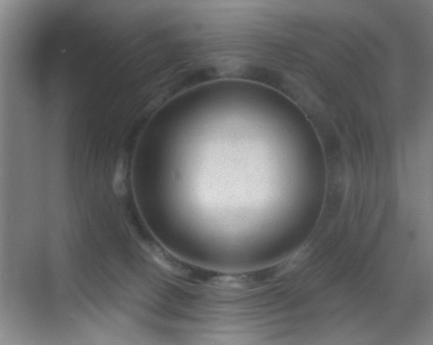 X0000069790082200605191049