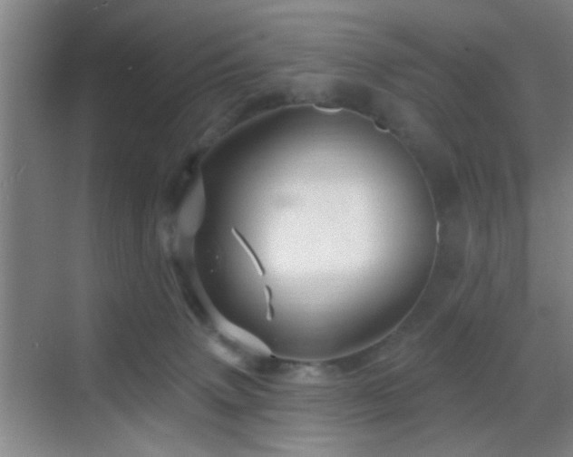 X0000069790083200605191049