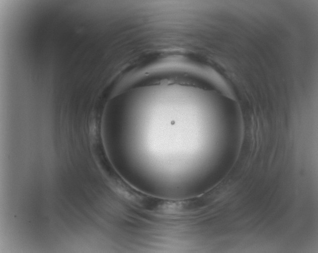 X0000069790084200605191049