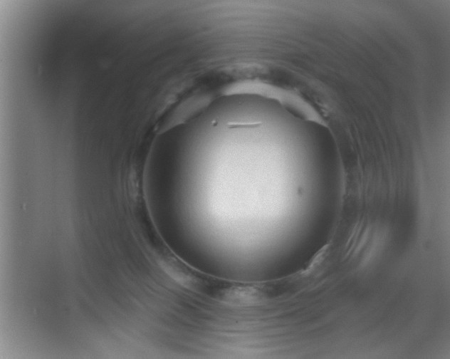 X0000069790086200605191049