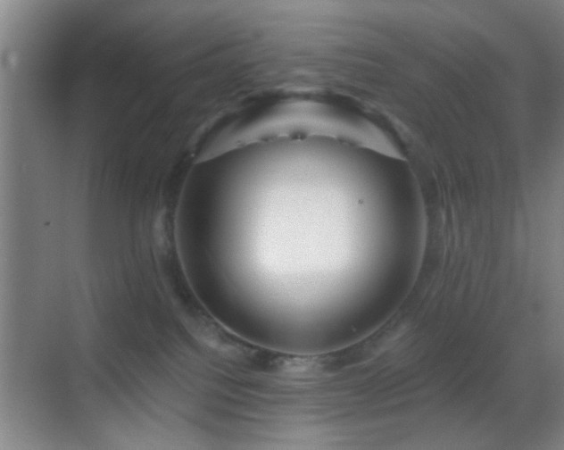 X0000069790088200605191049