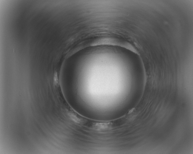 X0000069790089200605191049