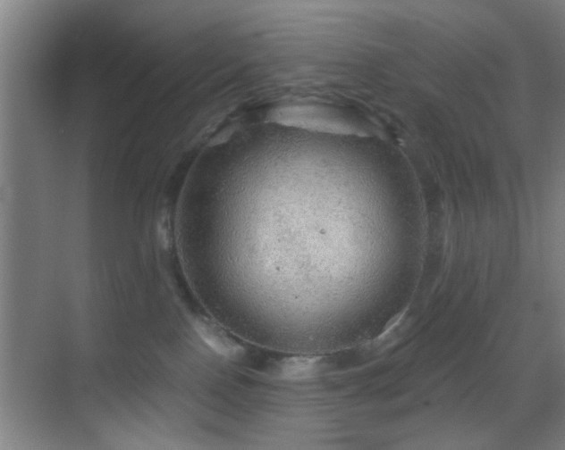 X0000069790090200605191049