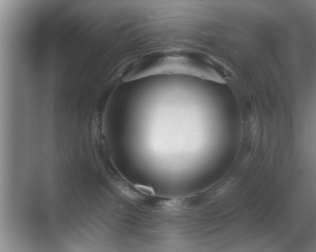 X0000069790092200605191049