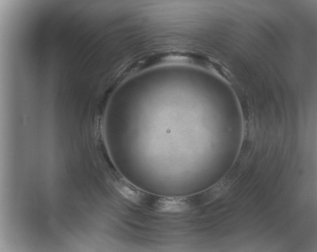 X0000069790093200605191049