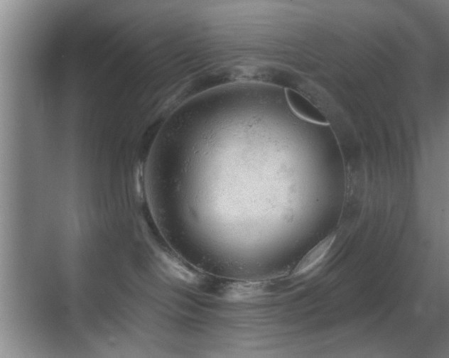 X0000069790094200605191049