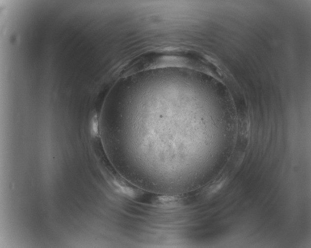 X0000069790095200605191049