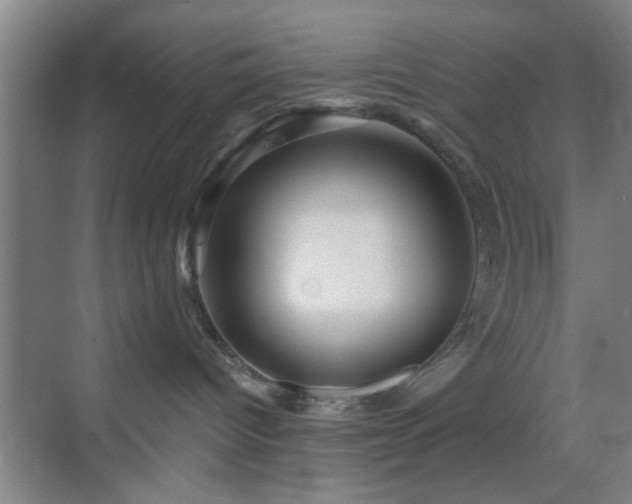 X0000069790096200605191049