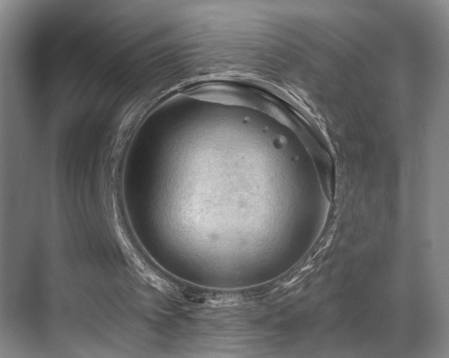 X0000069790097200605191049