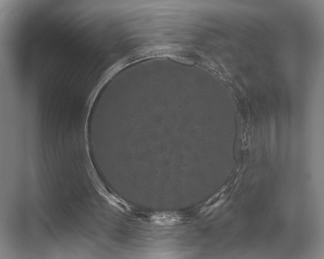 X0000069790099200605191049